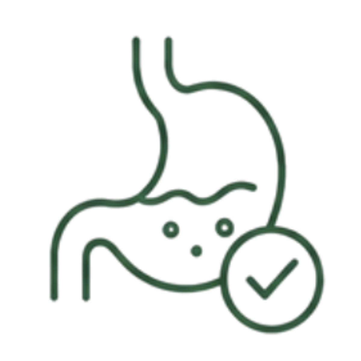 Digestión y Salud Intestinal