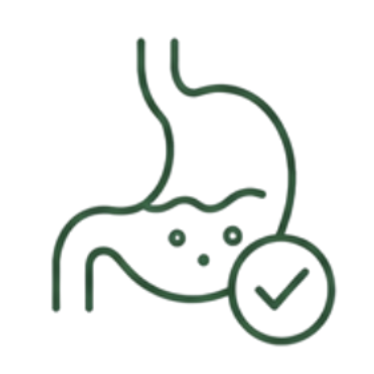 Digestión y Salud Intestinal